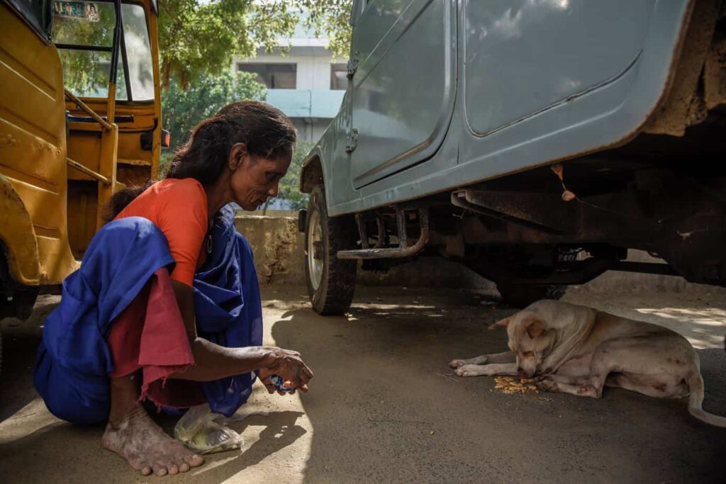old woman taking care of street dogs