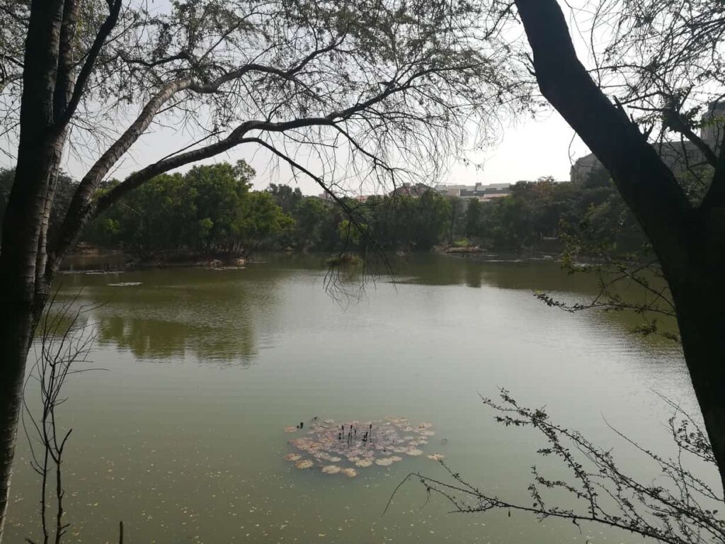 lower ambalipura lake