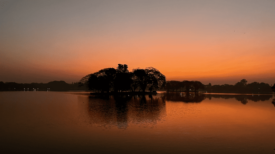 Muhammadan Lake Whom do you call to fix your lake? - Citizen Matters
