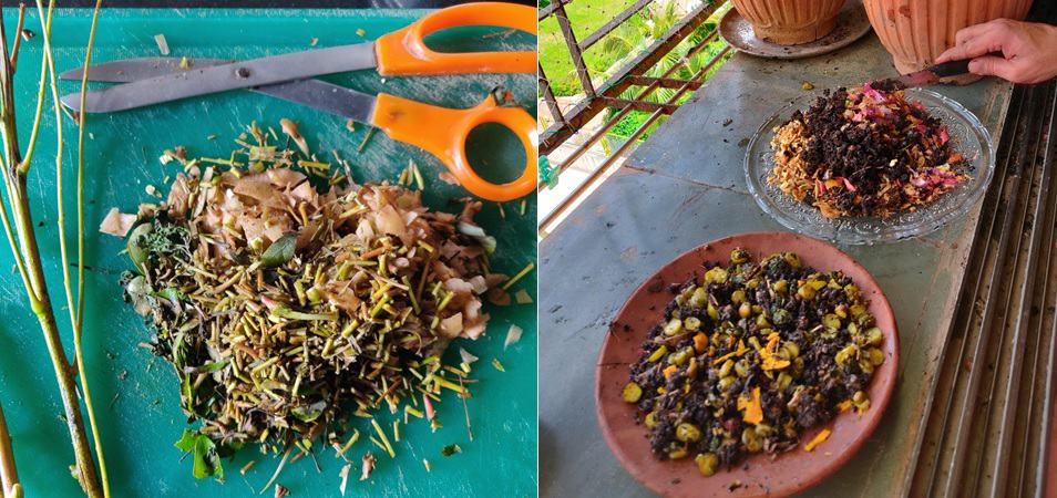 Want to compost wet waste at home? Learn from this Mumbai couple ...