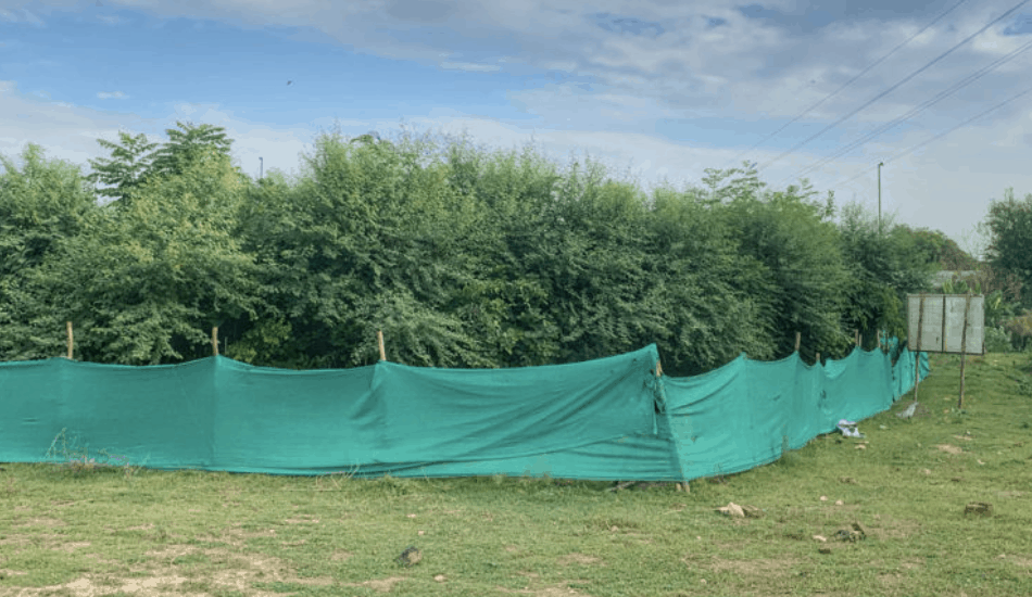Greater Noida's Samsung-Funded Miyawaki Micro-Forest — Corporate CSR Native Afforestation