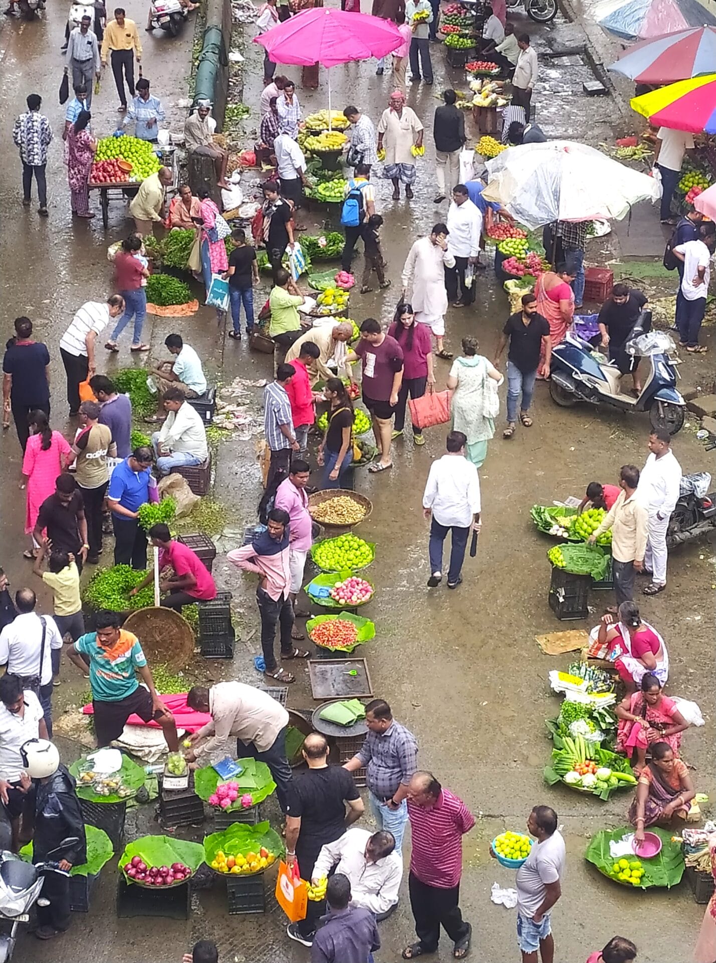 Of extreme rains, soggy vegetables and price cuts - Citizen Matters
