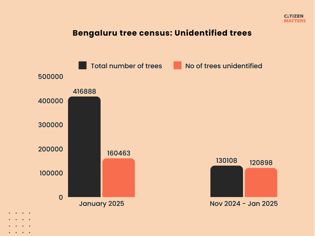 Tree species unidentified