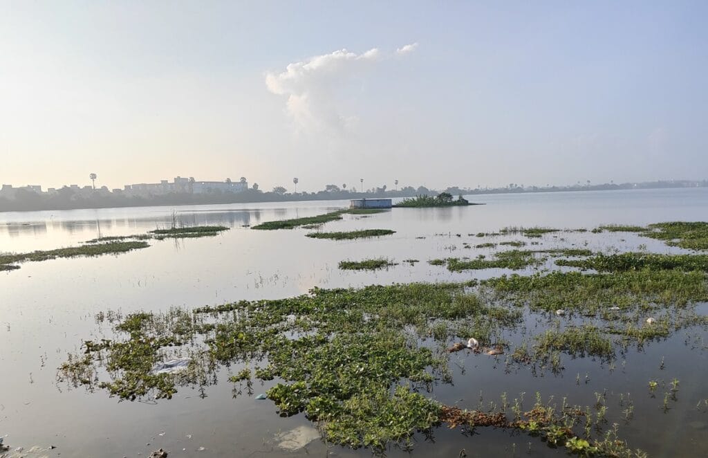 well in Madambakkam Lake