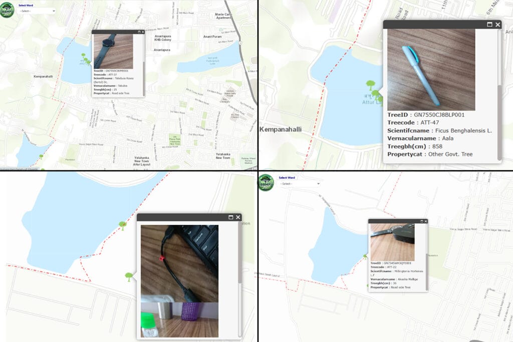 Random pictures in portal