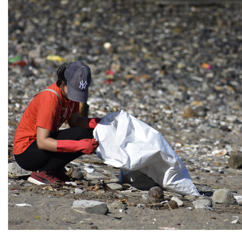 Beach clean up