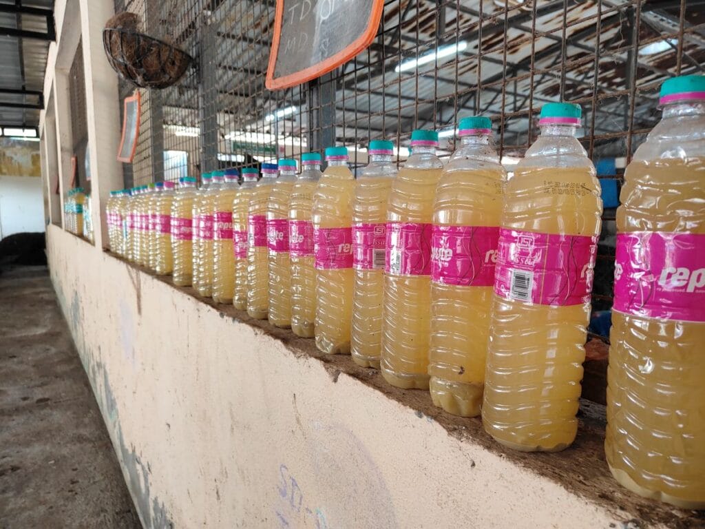 Even citrus peels have been repurposed into bioenzymes, a chemical-free, multipurpose cleaning solution. 