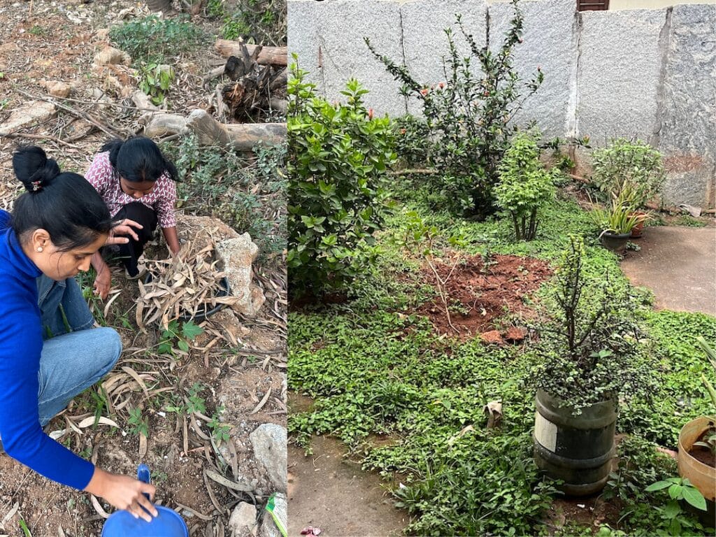 women collect leaves for composting - to a lush vegetable garden