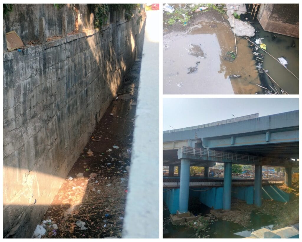 Pollution in the Dahisar river