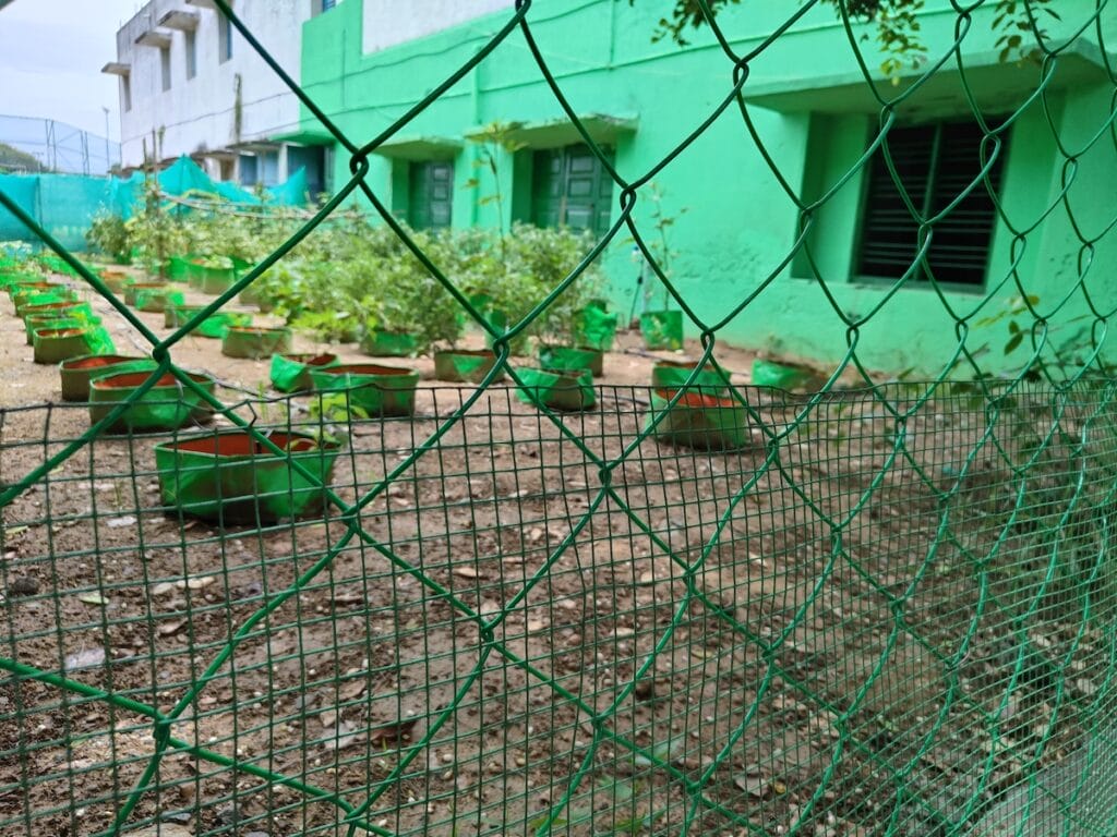 Garden in a school in Chennai's Sholinganallur