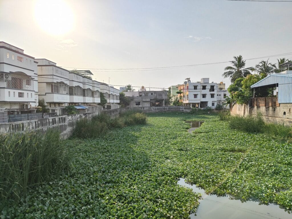 Excess water canal of Keezhkattalai Lake 