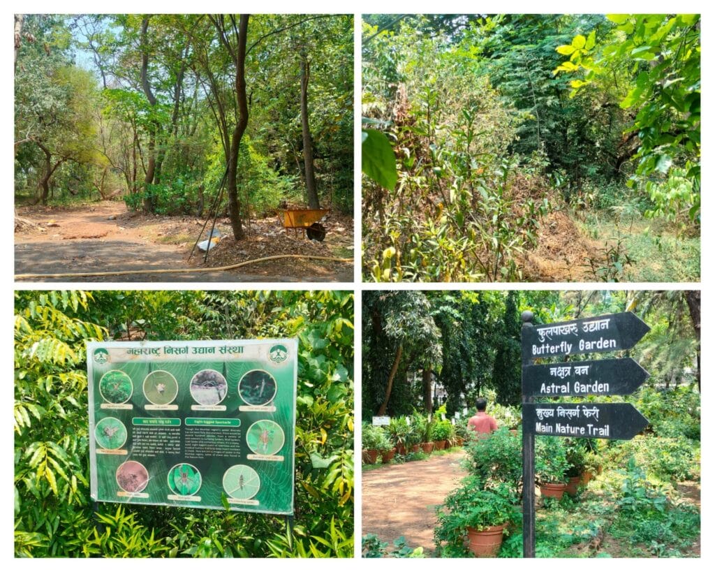 Mahim Nature Park