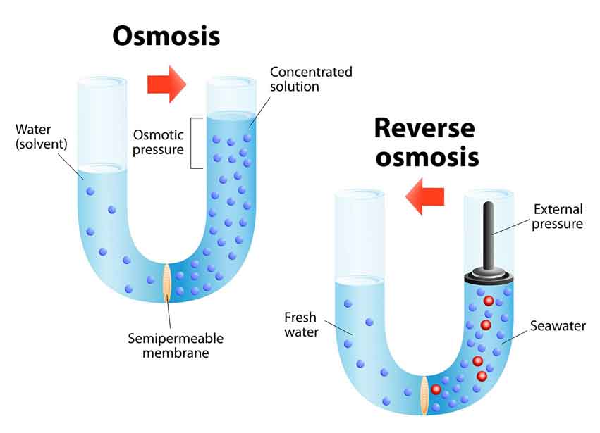 osmosis and reverse osmosis