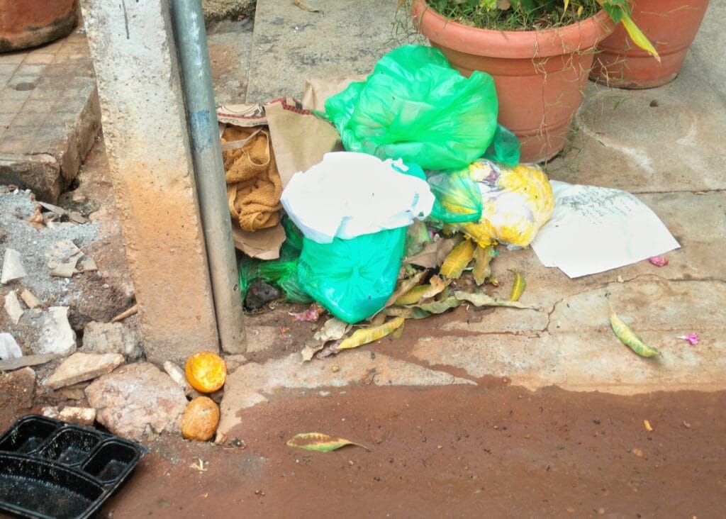 rodent near garbage dumped on roads