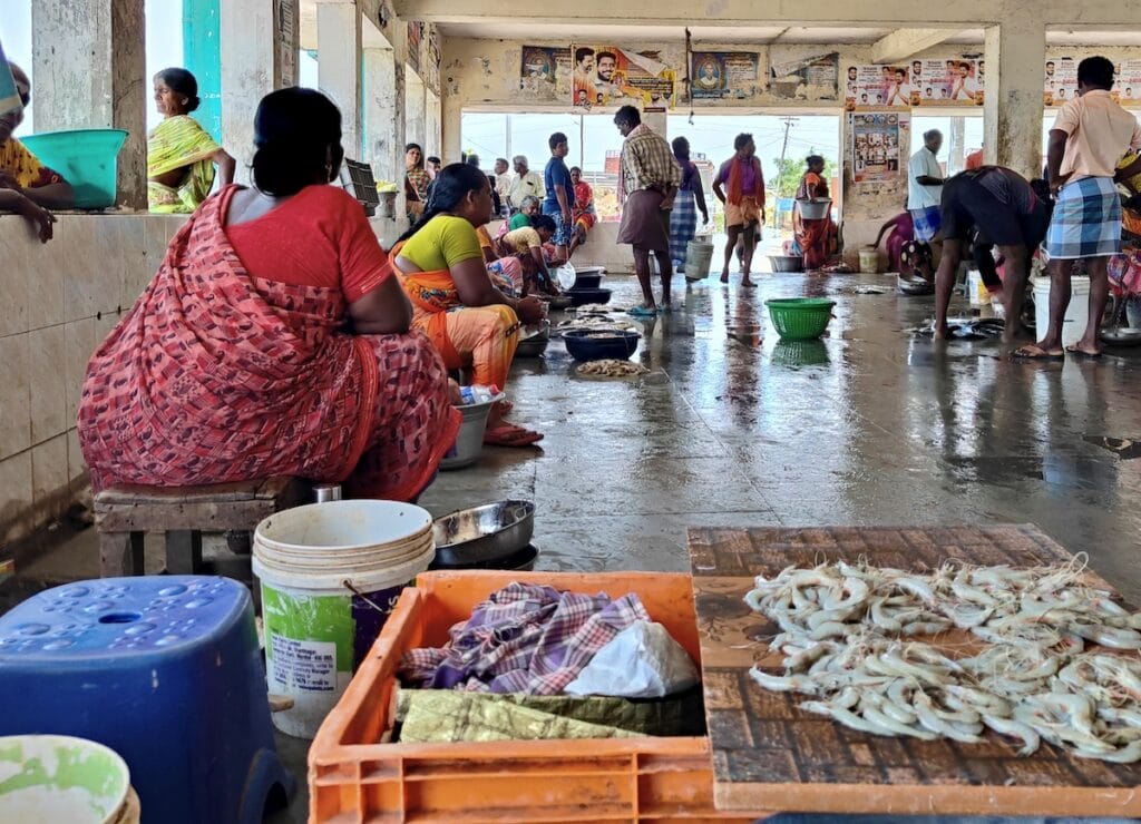 heat impact Coastal areas