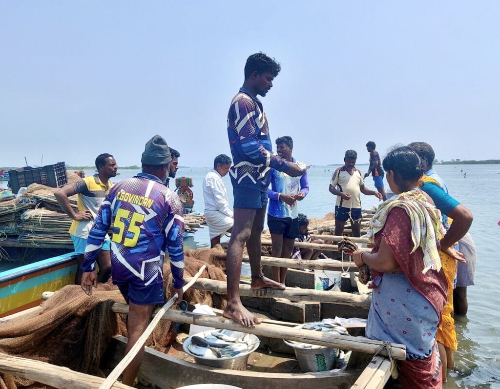 Fishermen and women working under sun
