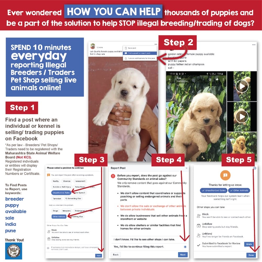 steps to stop illegal breeding