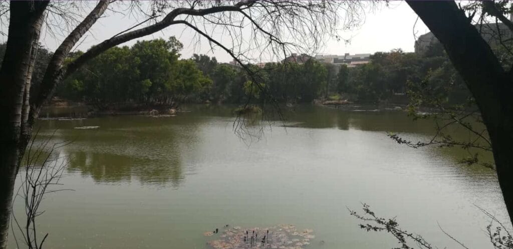 Lower Ambalipura Lake