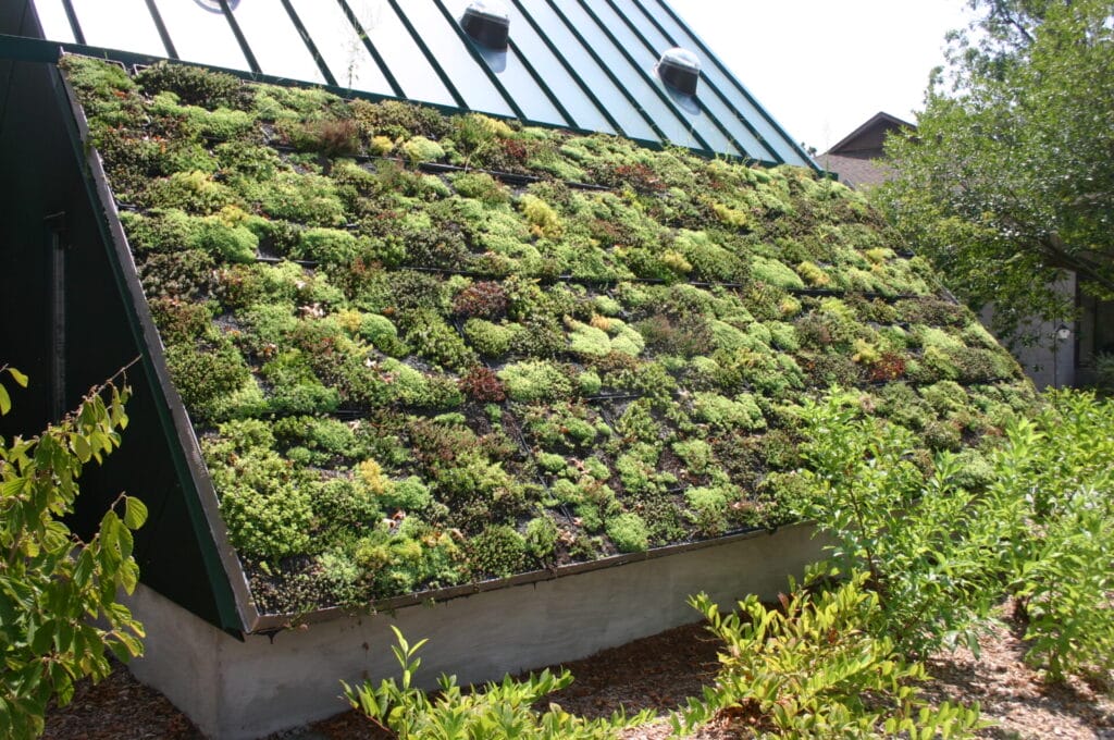 green roofs