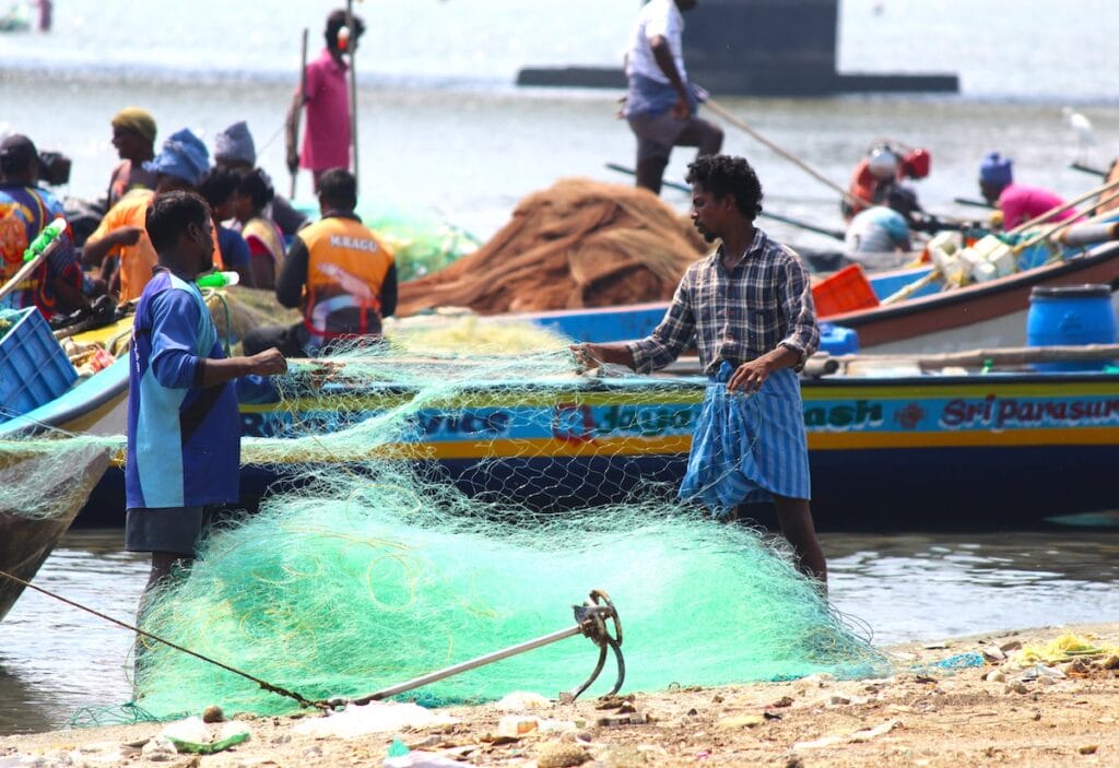 fishermen working under sun