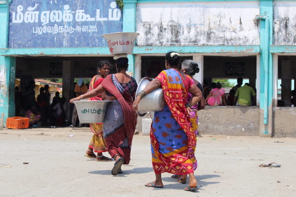 Fisherwomen taking the fresh catch for door-to-door sale