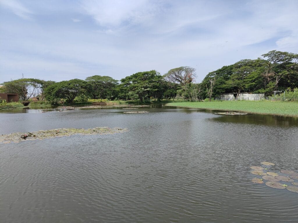 Dr MS Swaminathan Wetland Eco Park/ Sponge park
