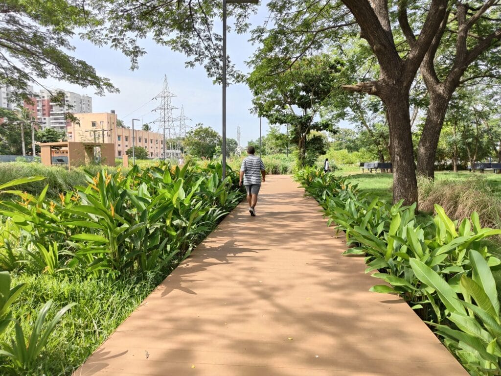 Dr MS Swaminathan Wetland Eco Park/ Sponge park