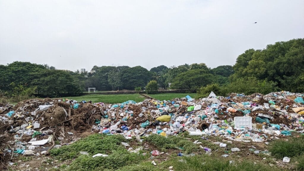 Dr MS Swaminathan Wetland Eco Park/ Sponge park