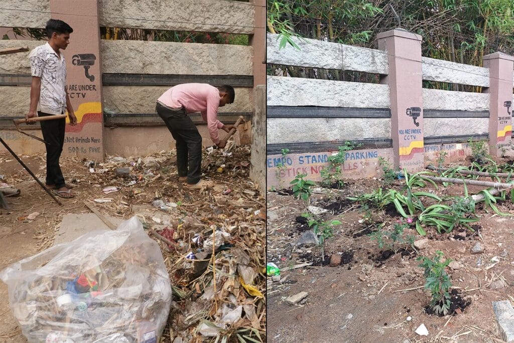 Saplings planted near garbage blackspots