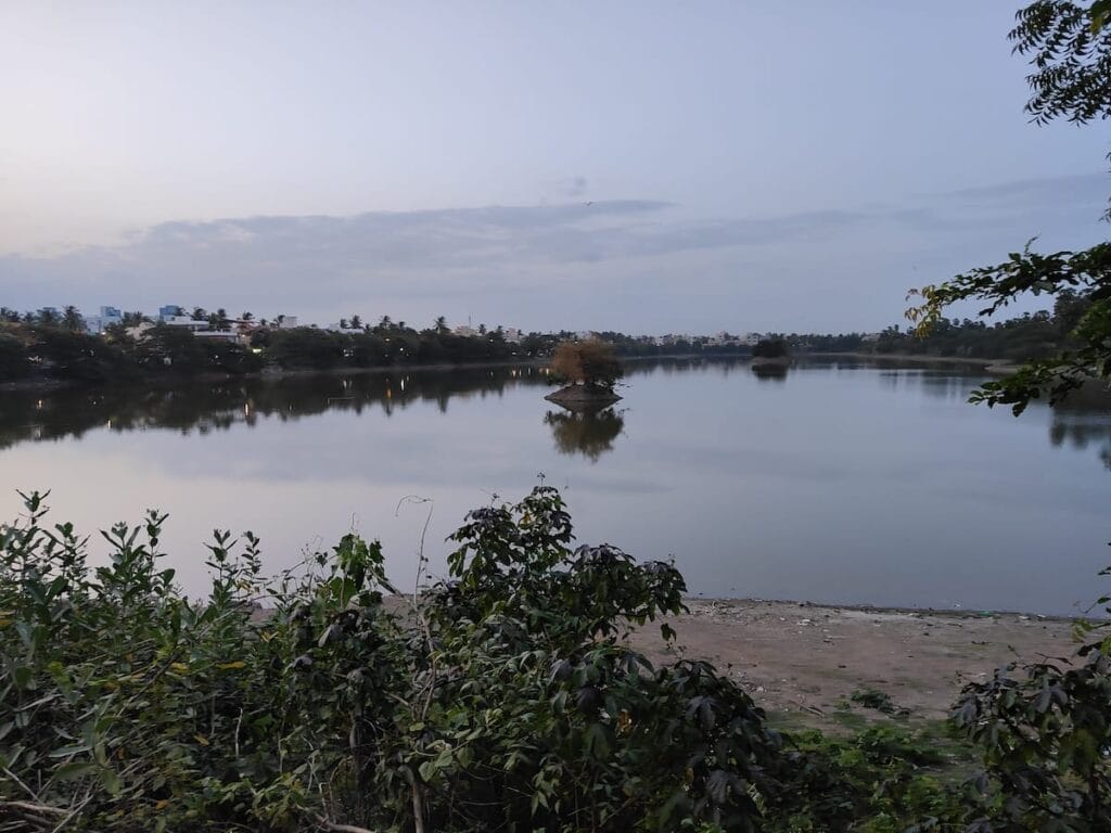 madipakkam lake in Chennai.