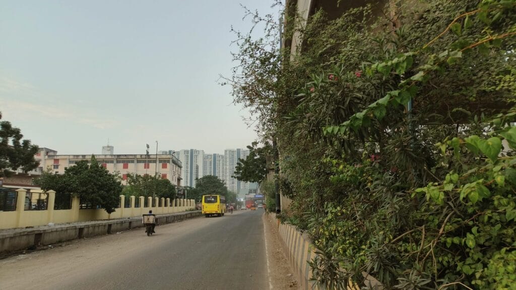 Dust at Koyambedu market