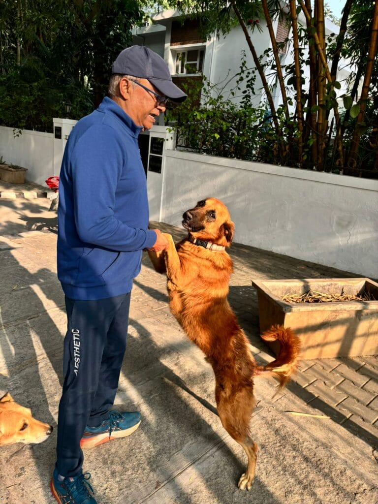street dog with a caregiver