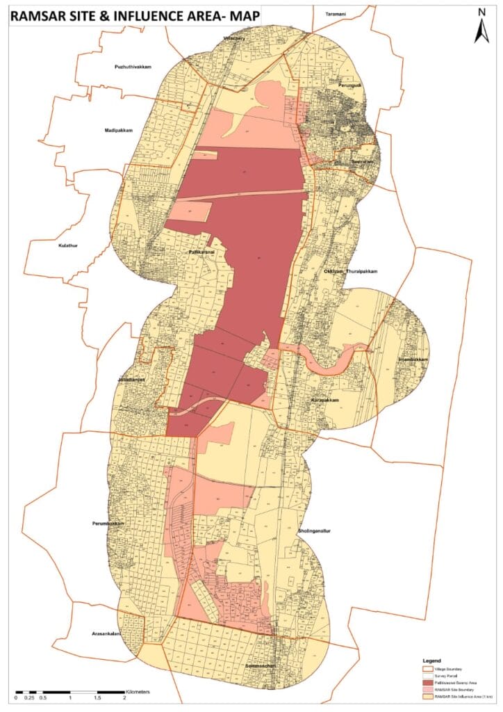 Pallikaranai influence zone