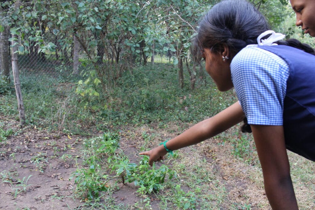 olcott school students