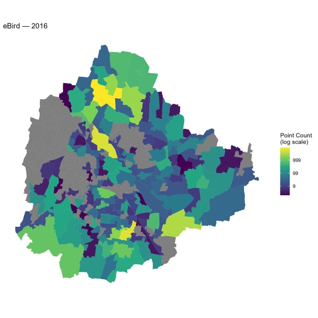 Number of eBird observations across different wards in 2016
