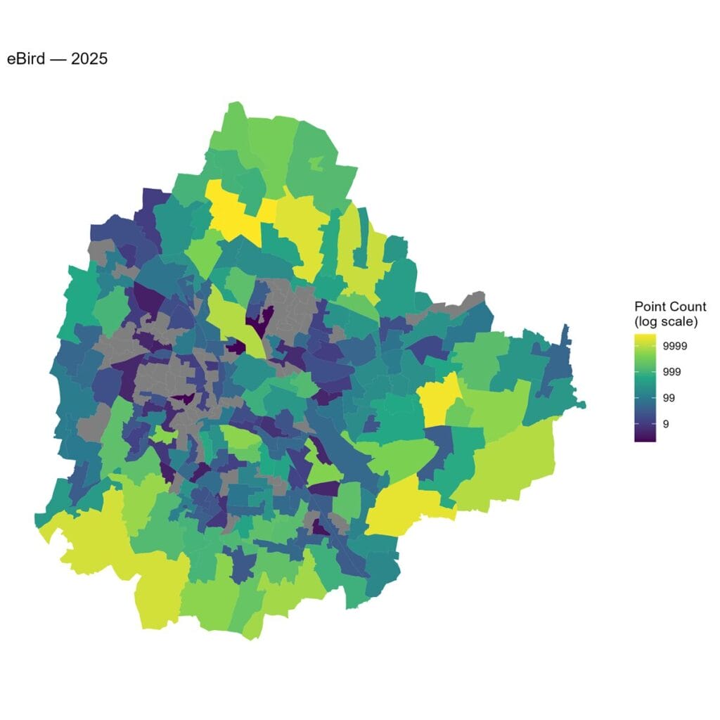 Number of eBird observations across different wards in 2025