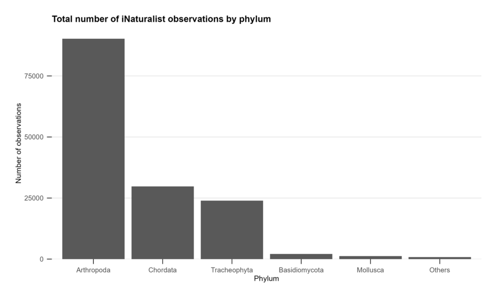Total number of iNaturalist observations according to phylum