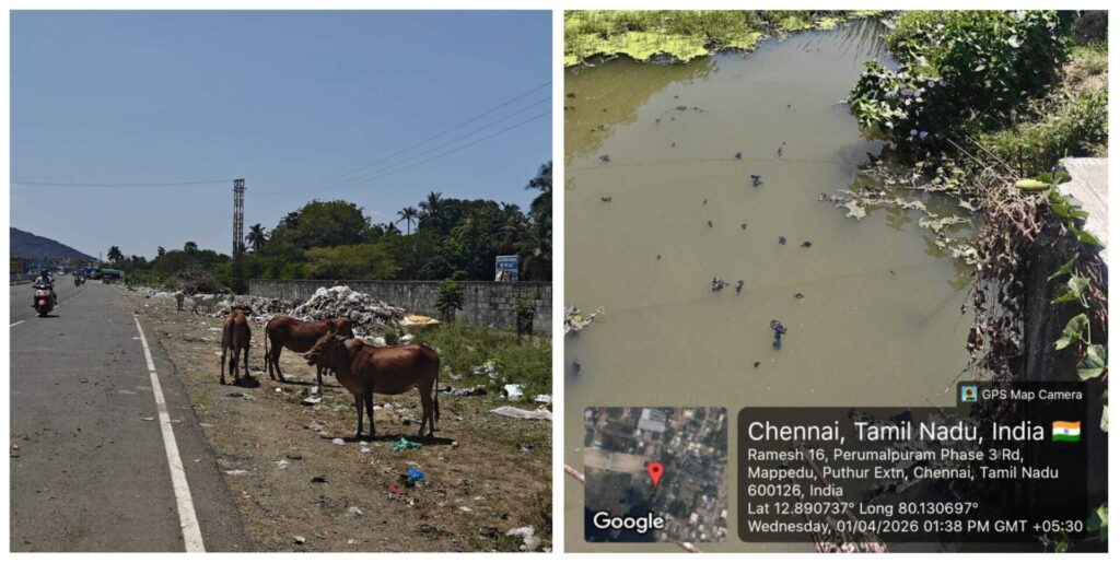 garbage in SSM Nagar