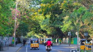 a road in Besant Nagar