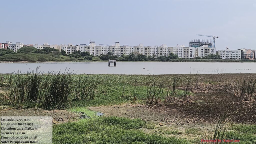 Perumbakkam side of Pallikaranai Marsh