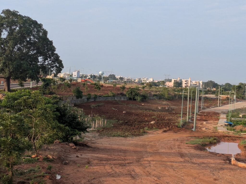 grass in Kannali cleared