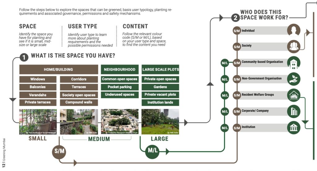 Infographic on what kind of plants should be planted