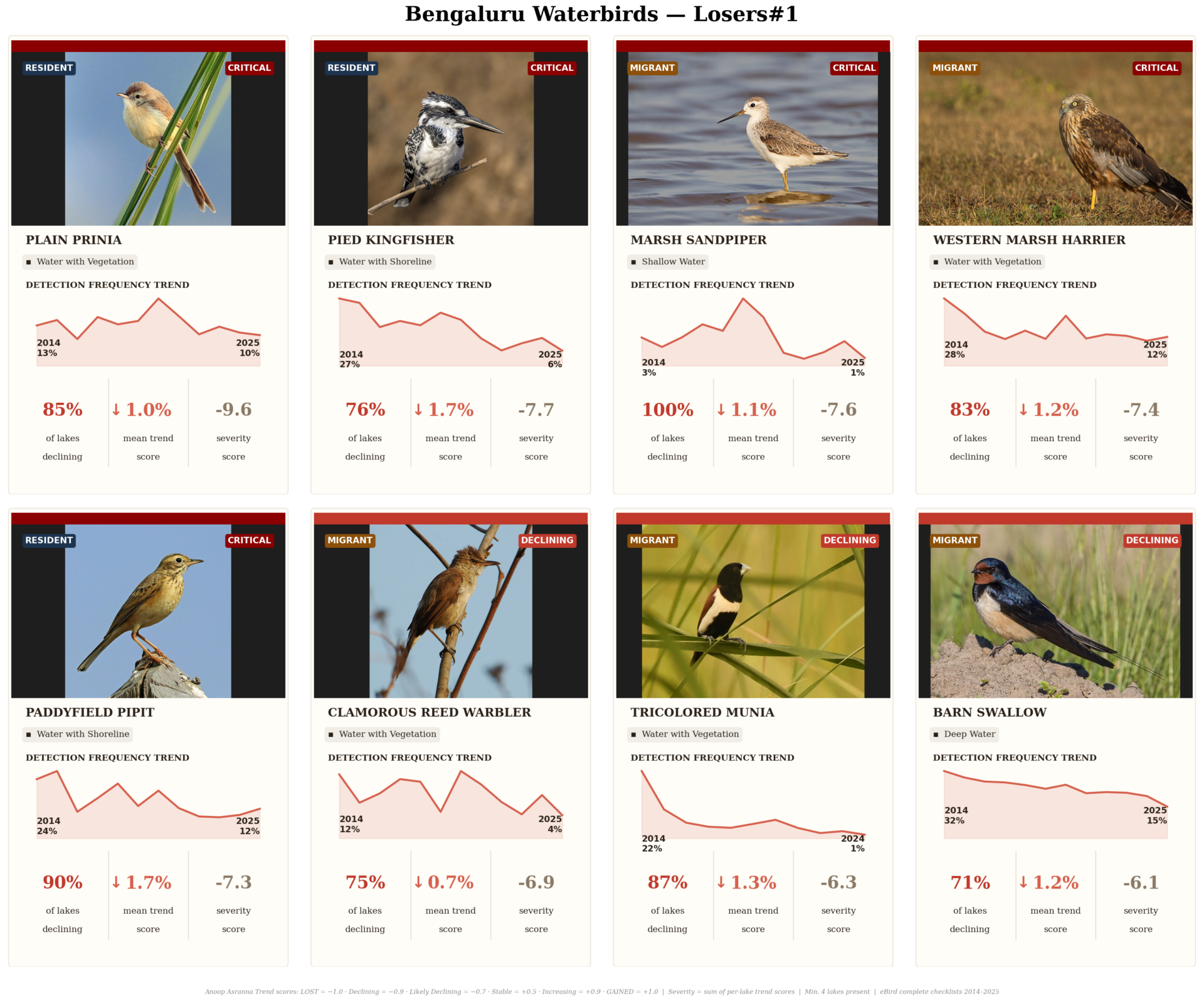 birds on the decline 1