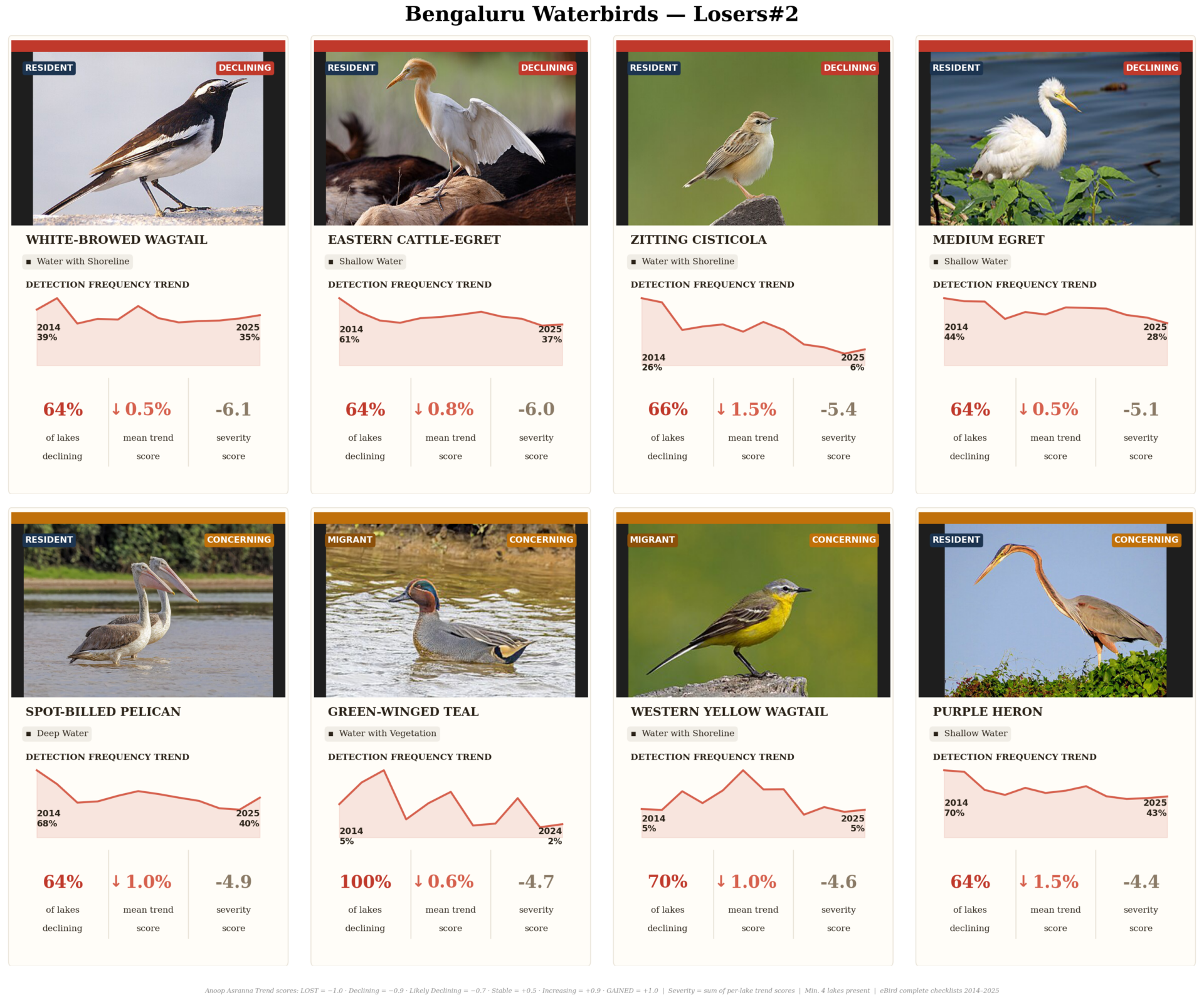 birds on the decline 2