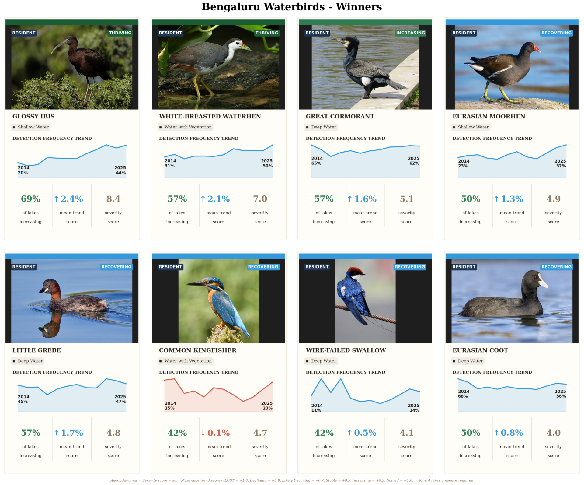 bird winners