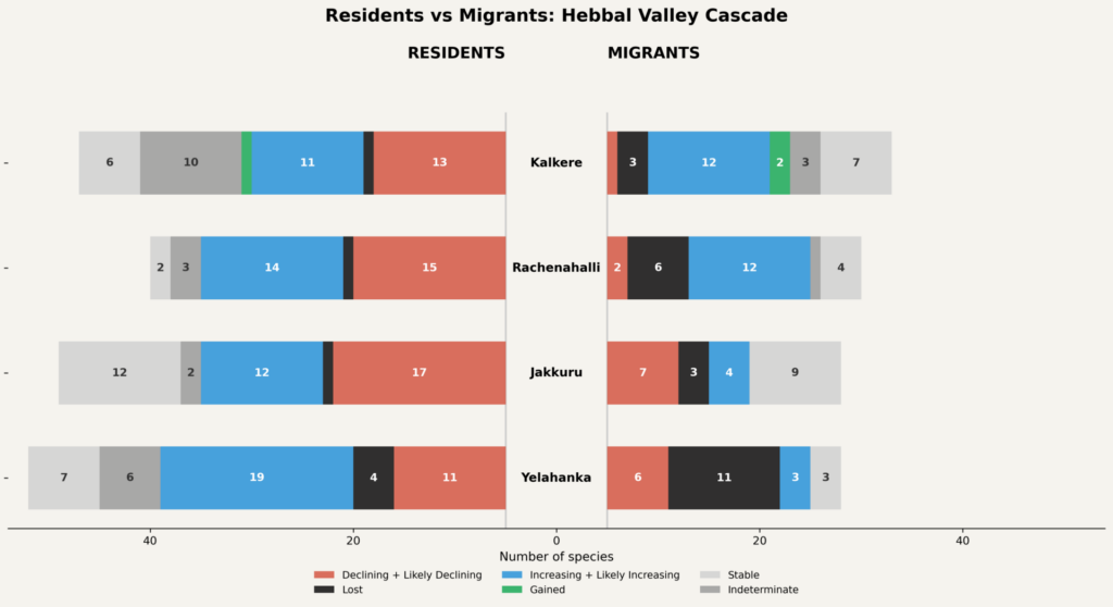 resident and migrant bird chart