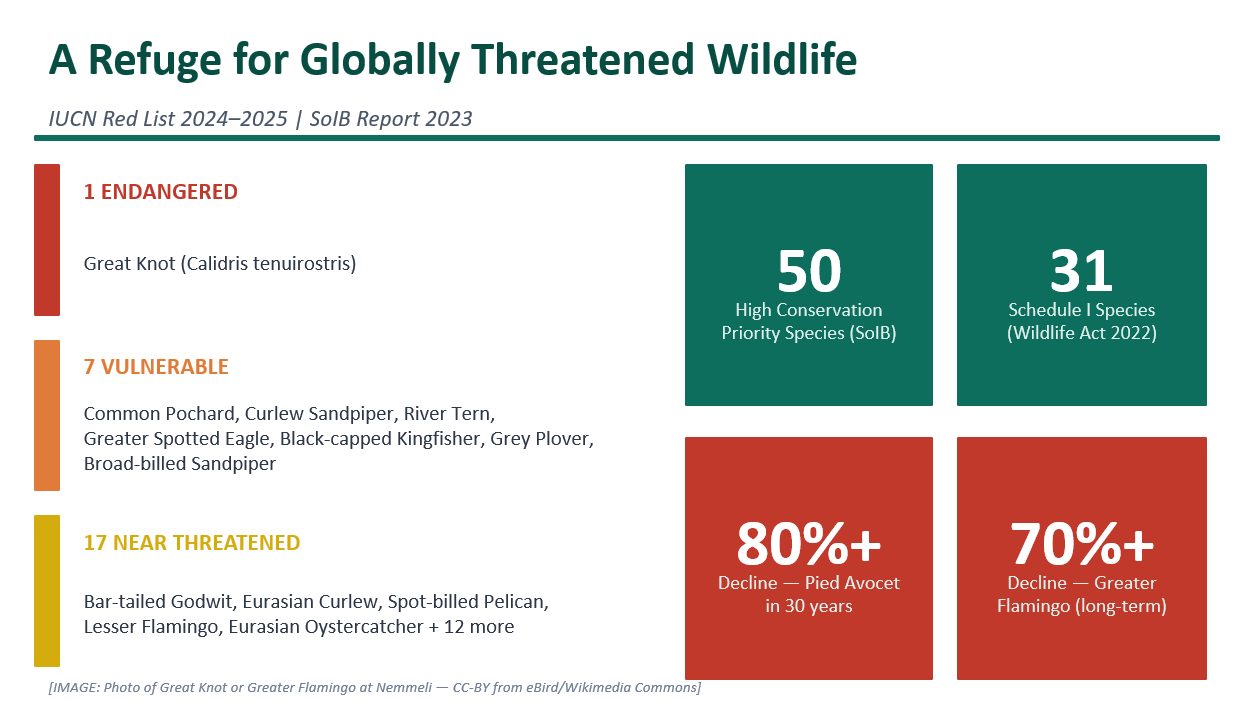 list of threatened birds 