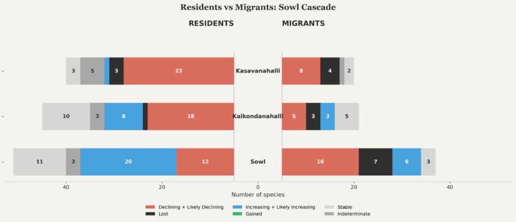 sowl cascade